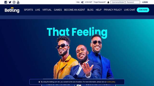 BetKing Casino casino screenshot